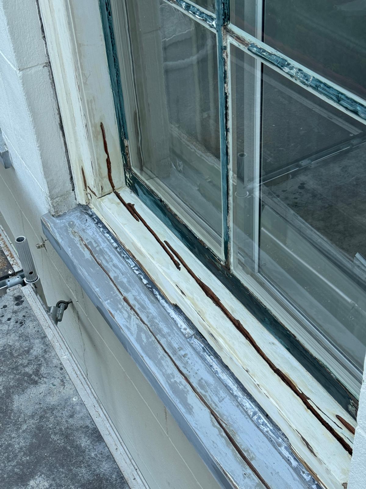 Afbeelding van WhatsApp op 2025-02-01 om 20.01.52_bdce0904